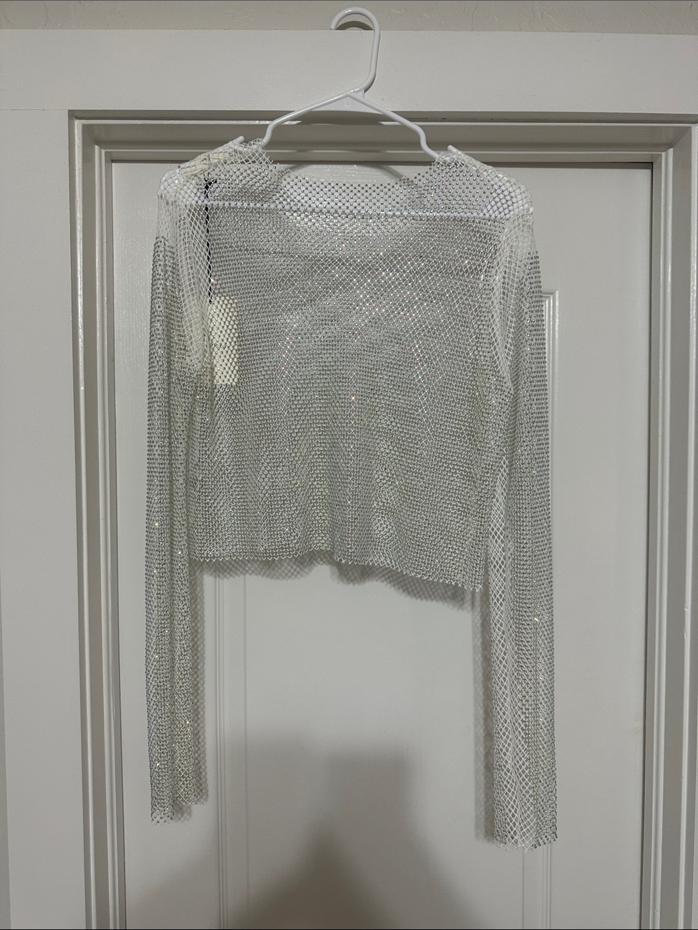 Sheer Silver Mesh Long-Sleeve Crop Top